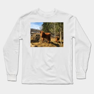 Scottish Highland Cattle Cow and Calf 1742 Long Sleeve T-Shirt